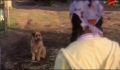 dr dolittle 3-avi_508.jpg